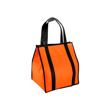 Eco Big Cooler Bag  33x37x24