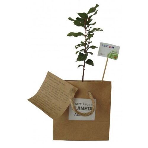 Árbol nativo papel kraft s/pincho