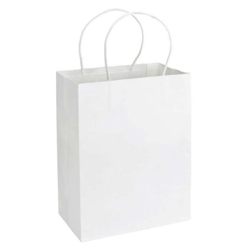 Bolsa de Papel kraft de 20 x 26 x 12 cm