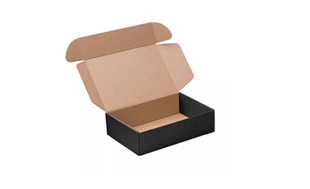 Caja Cartón Autoarmable Microcorrugado 30x20x8