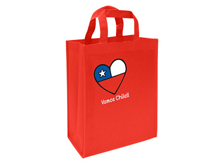 Bolsa Ecológica 