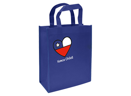Bolsa Ecológica 