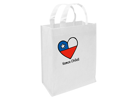 Bolsa Ecológica 