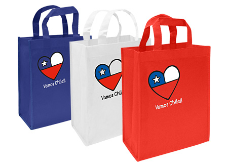 Bolsa Ecológica 