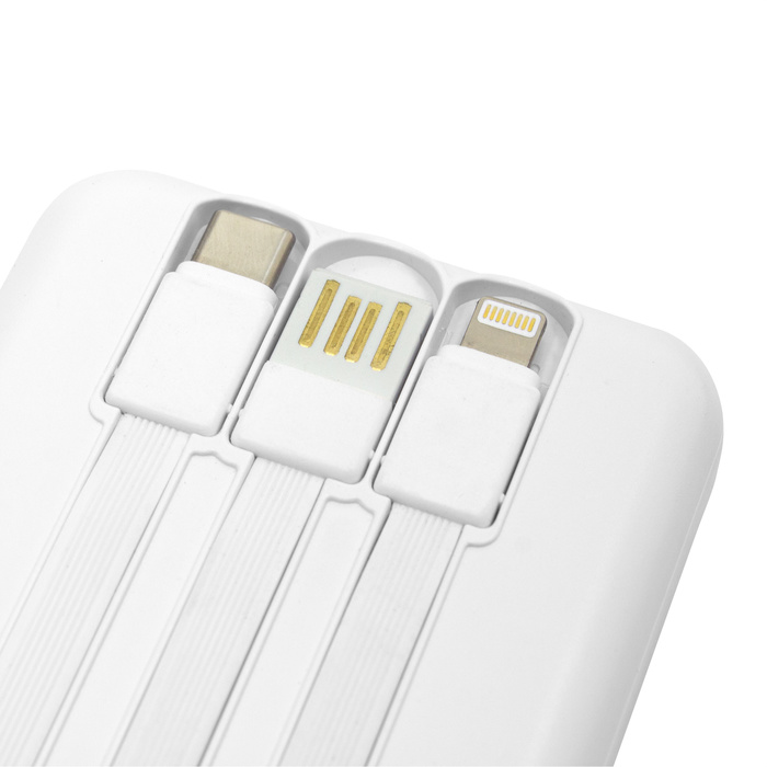 PowerBank Multipuerto Atlanta