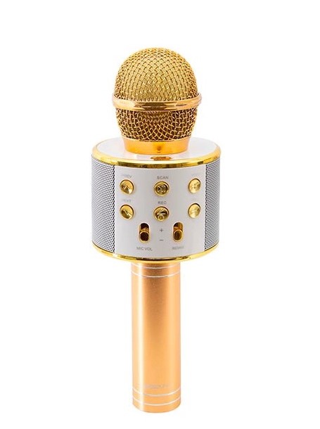 Micrófono Karaoke Con Bluetooth Y Parlante