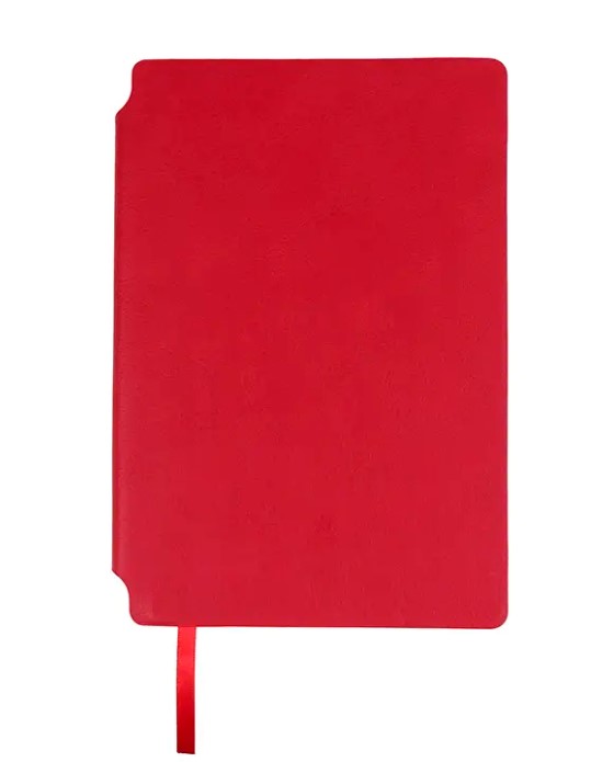 Cuaderno Demio 