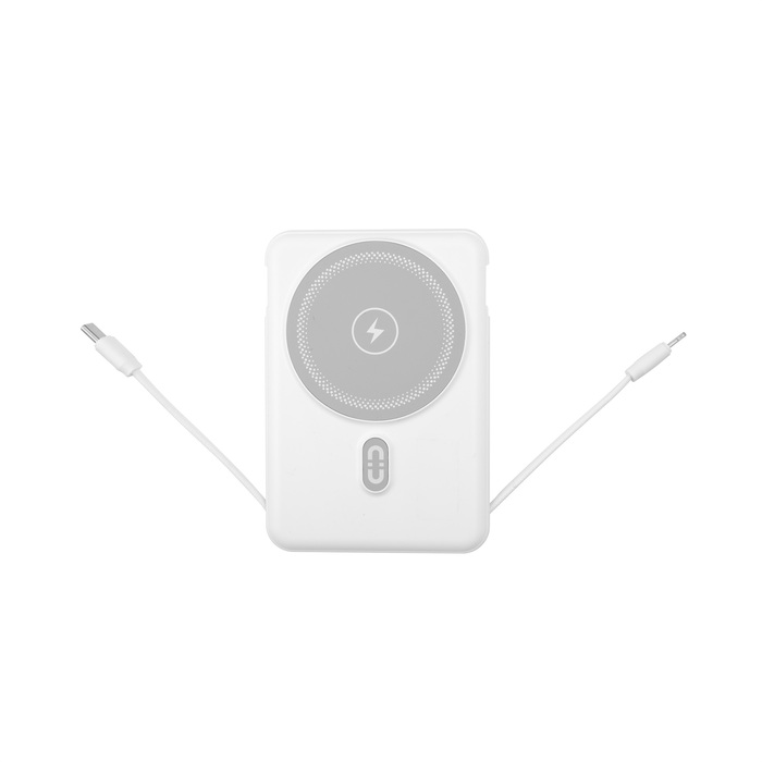 Power Bank multipuerto 