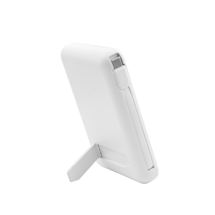 Power Bank multipuerto 